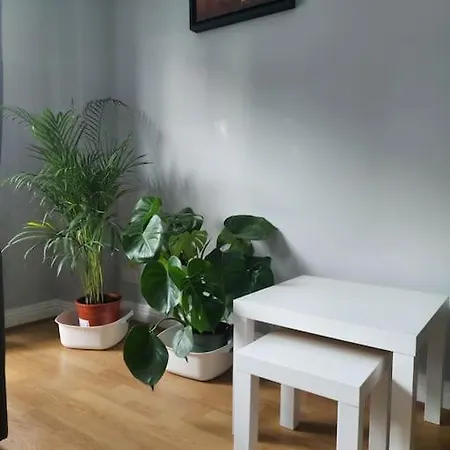 Apartment Spacious Centre - O'connell Street Area