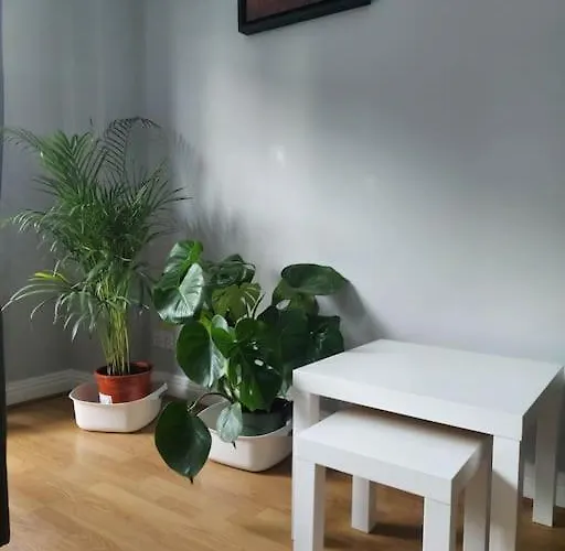 公寓 Spacious Centre - O'connell Street Area